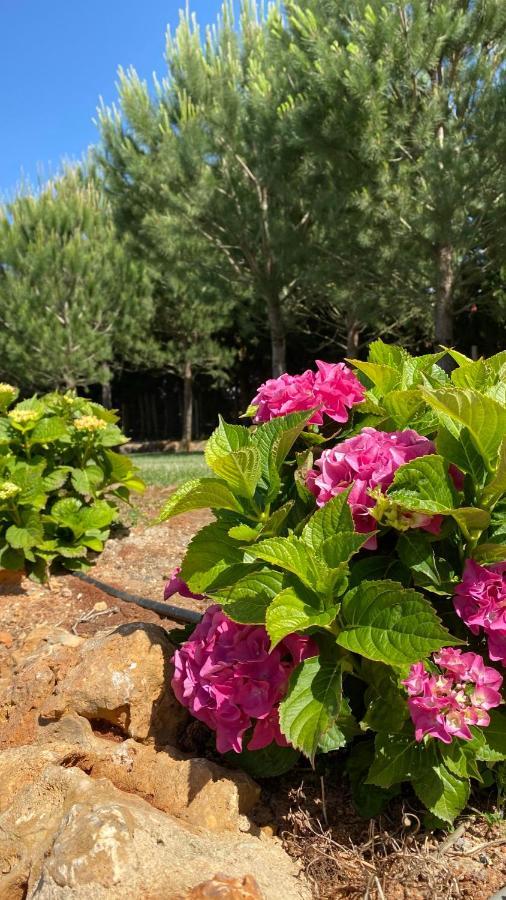 Appartamento Quinta da Alquimia Lagos Esterno foto